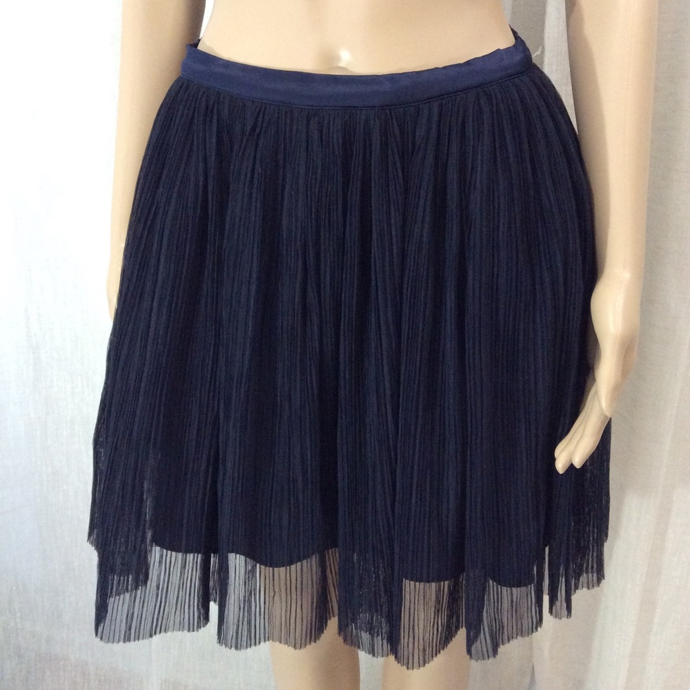 Blue midi skirt NWOT